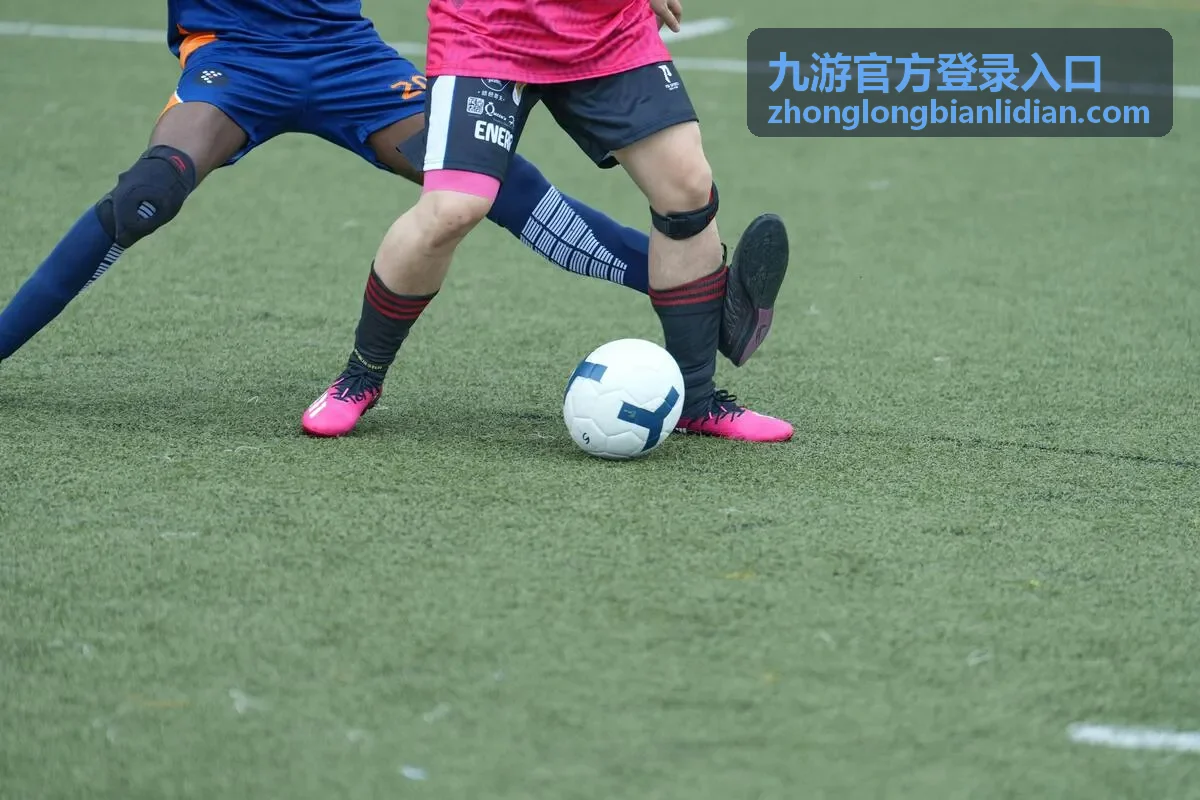 九游官方登录入口异常登录提醒核对示意封面