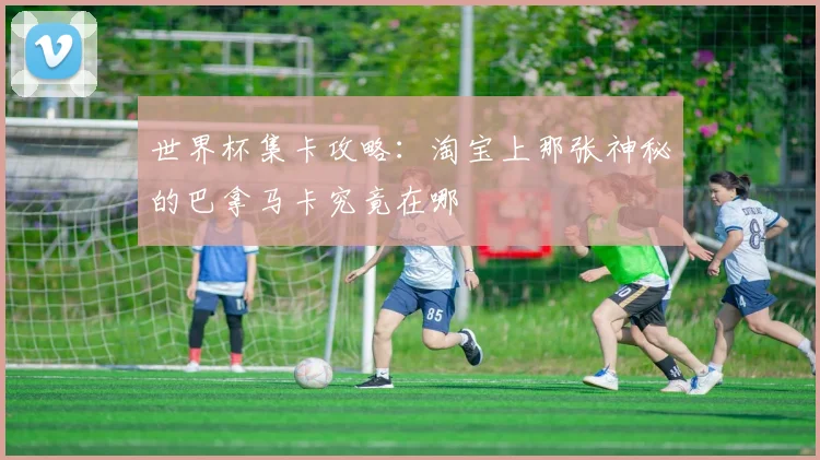 世界杯集卡攻略：淘宝上那张神秘的巴拿马卡究竟在哪