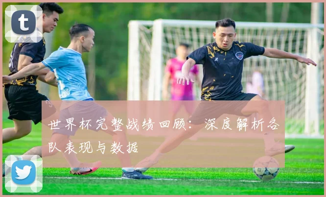 世界杯完整战绩回顾：深度解析各队表现与数据