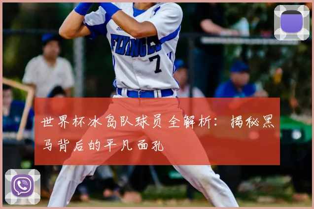 世界杯冰岛队球员全解析:揭秘黑马背后的平凡面孔