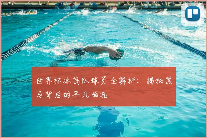 世界杯冰岛队球员全解析:揭秘黑马背后的平凡面孔