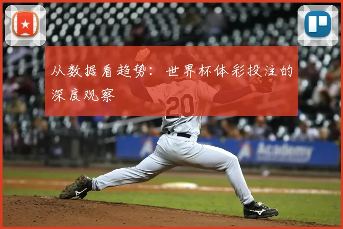 从数据看趋势:世界杯体彩投注的深度观察