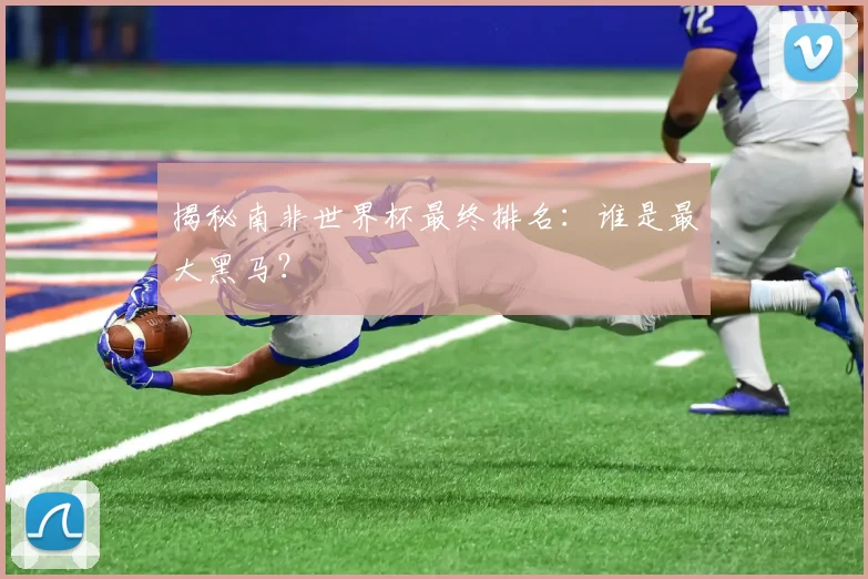 揭秘南非世界杯最终排名：谁是最大黑马？