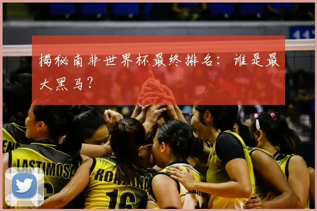 揭秘南非世界杯最终排名：谁是最大黑马？