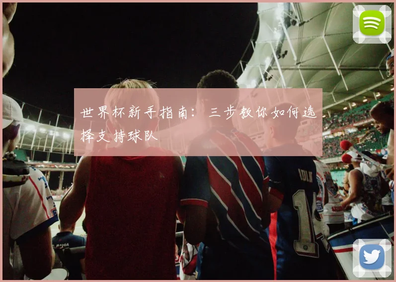 世界杯新手指南:三步教你如何选择支持球队
