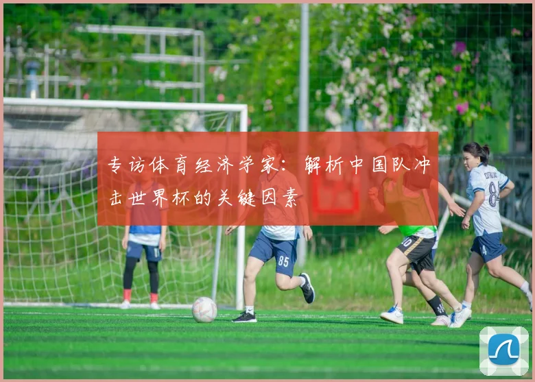 专访体育经济学家:解析中国队冲击世界杯的关键因素