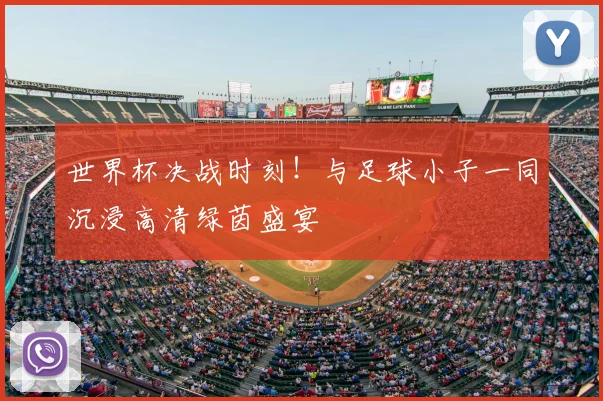 世界杯决战时刻!与足球小子一同沉浸高清绿茵盛宴