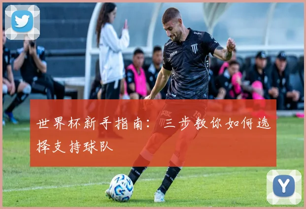 世界杯新手指南:三步教你如何选择支持球队