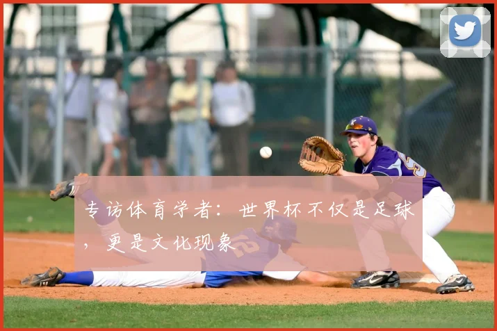 专访体育学者:世界杯不仅是足球,更是文化现象